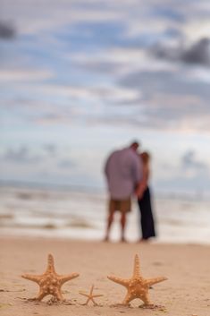 two starfishs on the beach with a couple kissing in the background