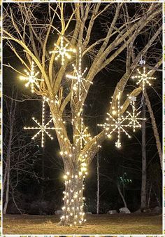 a lighted tree with snowflakes hanging from it's branches