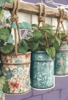 three flower pots with plants in them hanging on a wall