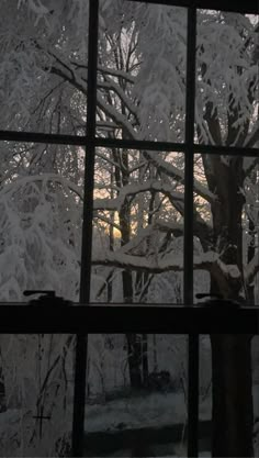 snow covered trees seen through a window at night time, with the sun shining through