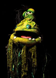 a green creature with long hair and eyes