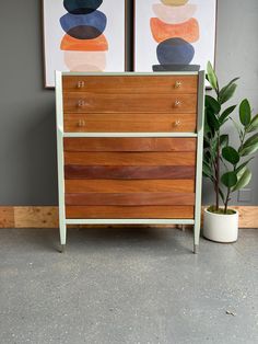 a wooden dresser sitting next to a plant in a room with two paintings on the wall