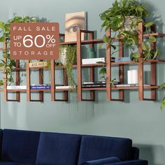 a blue couch sitting in front of a wall mounted shelf filled with books and plants