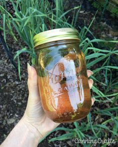 a hand holding a mason jar filled with orange and yellow liquid in front of green grass