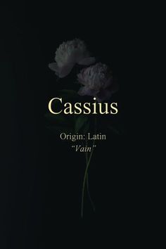 a black background with white flowers and the words cassius written in gold on it