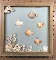 there are many different sea animals in the frame on the wall, including fish and shells