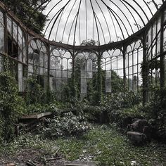 an abandoned building with lots of windows and ivy growing on the walls