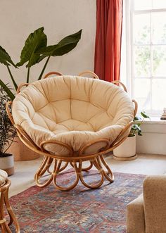 a living room filled with furniture and a large plant in the middle of the room