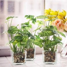 three potted plants sitting on top of a window sill next to each other