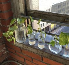 three vases with plants in them sitting on a window sill next to a brick wall