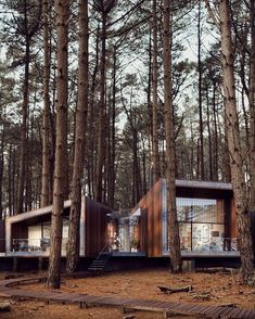 two cabins in the woods surrounded by trees