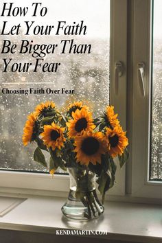 faith over fear Giant Sunflower, Sunflower Photo, Brand New Day, Hardy Perennials, Soothing Sounds, Annual Plants, Instagram Story Template, Story Template, Summer Sale