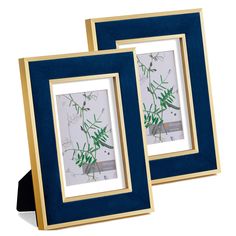 two blue and gold framed pictures with bamboo leaves