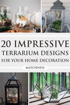 various terrarium designs for your home decoration