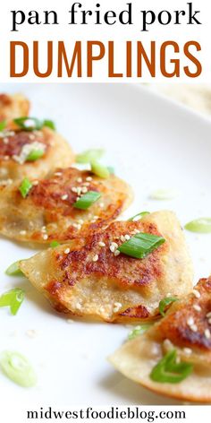 some food is on a white plate and has green onions in the middle with text overlay that reads pan - fried pork dumplings