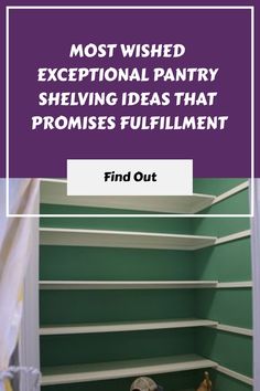 shelves in a closet with the words most wishes exceptional pantry shelving ideas that promote fulfillment