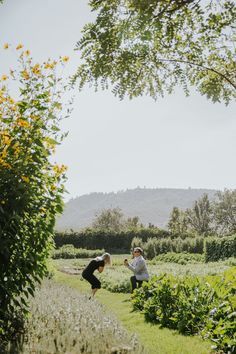 two people are playing frisbee in the grass near some trees and bushes on a sunny day