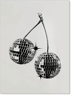 black and white photograph of two disco balls hanging from a twig on a pole