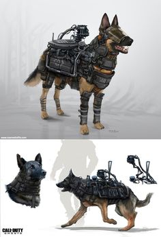 an image of a dog with gear on it's back