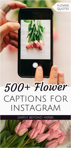 the cover of 500 + flower captions for instagrams, including tulips and flowers