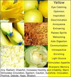 an advertisement for the yellow eye catching program with pictures of different fruits and vegetables in it