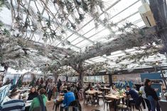 a group of people sitting at tables in a room with lots of windows and plants hanging from the ceiling