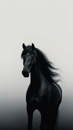 a black horse standing in the fog with its hair blowing around it's back