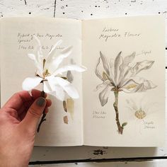 a hand is holding an open book with flowers on it and the pages are white