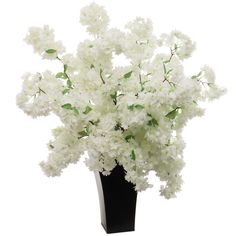 white flowers are in a black vase on a white background, as well as green leaves