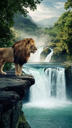 a lion standing on top of a cliff next to a waterfall