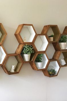 Holding hexagon wood shelf Hexagonal Shelves, Mid Century Shelves, Hexagon Wall Shelf, Decoration Hall, Honeycomb Shelves, Geometric Shelves, Floating Shelves Bathroom, Hexagon Shelves