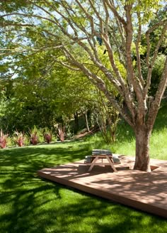 a picnic table under a tree in the middle of a grassy area with sun shining on it