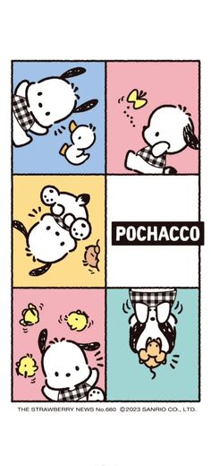 the cover to pochaco's comic book, which features an image of hello kitty