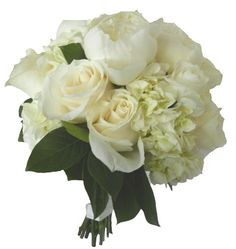 a bouquet of white flowers on a white background