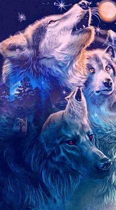 three wolfs looking up at the night sky