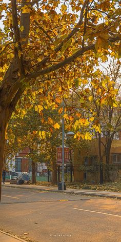 an empty street with lots of yellow leaves on the trees and buildings in the background