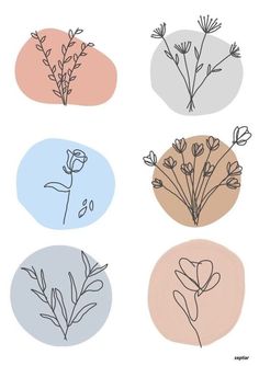 four different types of flowers with the same color scheme on each one, including pink and blue