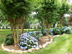 blue and purple flowers are in the middle of a garden area with rocks, grass, and trees