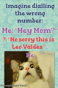 a cat is looking up with the caption'me hey mom? no sorry this is leo veldez he