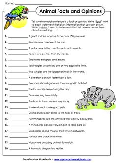 an animal fact and opinion worksheet for kids to learn how to use it