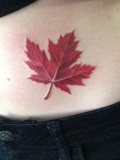 a woman's stomach with a red maple leaf tattoo on her chest and bottom