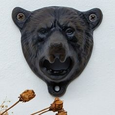 a black bear head mounted to the side of a white wall next to dead flowers