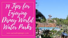 the top tips for enjoying disney world water parks