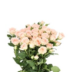 a vase filled with pink roses on top of a white table next to green leaves