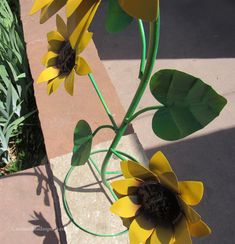 two yellow flowers are in a vase on the ground