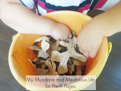 a child is playing with leaves in a yellow bowl that says, my mundaine and miscellaneous life for prek ages