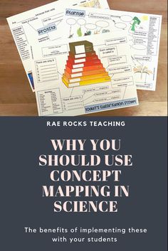 Concept mapping in science example. Biology Concept Map, Concept Map Science, Project Biology, Concept Mapping, Discussion Strategies, Concept Maps, Ap Environmental Science, Middle School Science Classroom