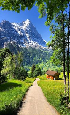 a dirt road leading to a small house in the middle of a grassy field with mountains in the background