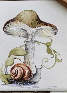 a watercolor painting of a mushroom and snail