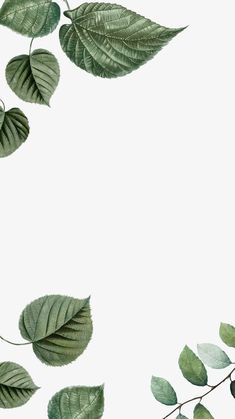 Leaf border off-white mobile wallpaper, editable tropical design | free image by rawpixel.com